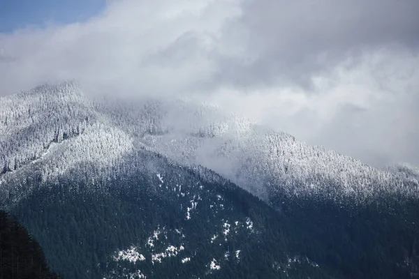 Una Vista Panorámica Una Hermosa Montaña Cubierta Nieve Rodeada Árboles —  Fotos de Stock