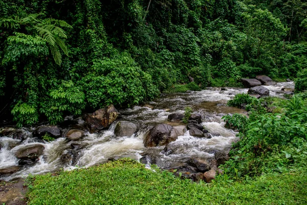 Ruisseau Qui Coule Vers Lac Atitlan Guatemala — Photo