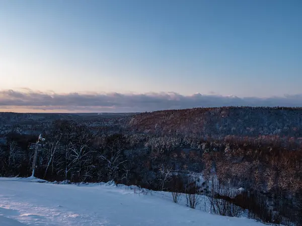 Una Hermosa Foto Algunos Abetos Cubiertos Nieve Invierno — Foto de Stock