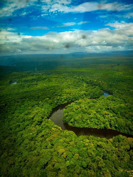 Вертикальный Снимок Красивой Реки Текущей Лесу — стоковое фото