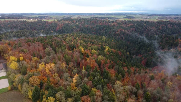Vista Panorâmica Floresta Outono Parcialmente Coberta Nevoeiro Sob Céu Nublado — Fotografia de Stock