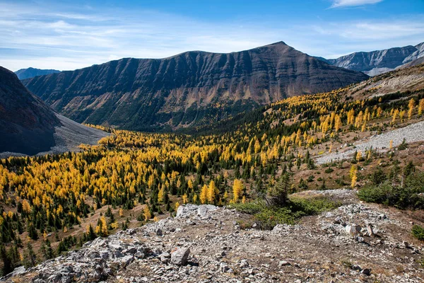 Uma Vista Panorâmica Das Montanhas Rochosas Com Floresta Encosta — Fotografia de Stock