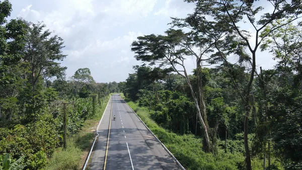 曇り空の下 濃緑色の木々に囲まれた高速道路 — ストック写真