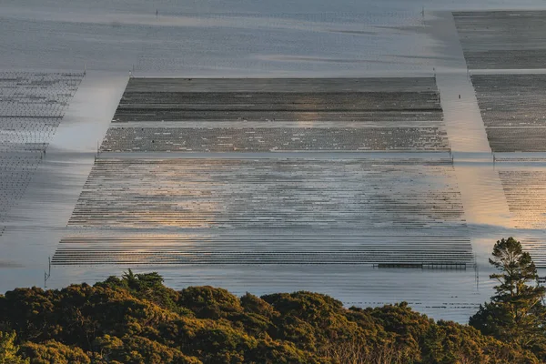 Aerial Drone Shot Paul Rock Ohakiri Nature Preserve Whangaroa New — Stock Photo, Image