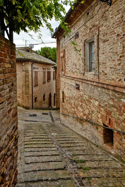 Une Rue Étroite Entre Les Vieilles Maisons Montecosaro Une Ville — Photo