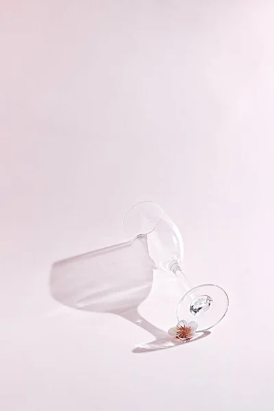 Bicchiere Vino Vuoto Piccolo Fiore Ciliegio Isolato Sfondo Bianco Sotto — Foto Stock