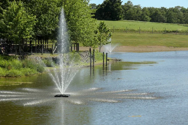 View Fountains Watering Green Area Covered Grass Trees Hot Spring — Stock Photo, Image