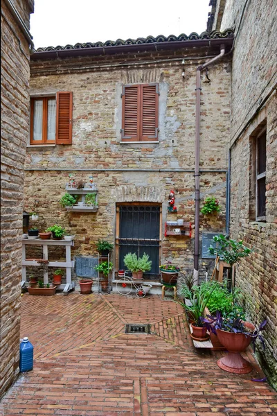 Vertical Shot Old Brick House Decorated Plants Civitanova Alta Italy — Stock Photo, Image