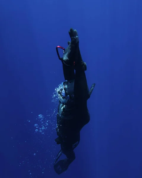 A vertical view of a person in diving equipment exploring the underwater world