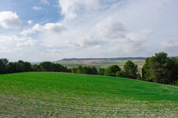 Uma Foto Panorâmica Campo Verde Com Árvores Colinas Fundo — Fotografia de Stock