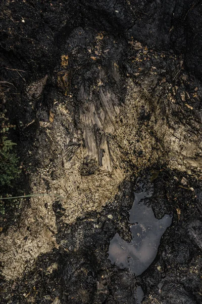 Pionowe Zbliżenie Mokrej Gleby — Zdjęcie stockowe