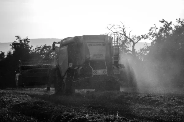 독일에서 수확물을 사진에 수확기를 — 스톡 사진