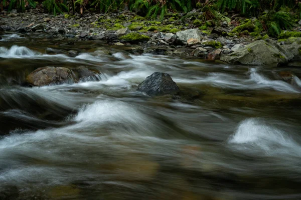 ゴールドストリーム公園で滑らかな絹のような水と流れの速い川の流れのクローズアップショット — ストック写真