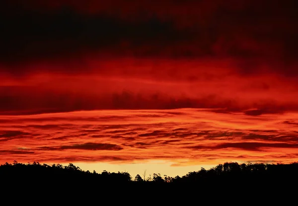 Luftaufnahme Eines Schönen Waldes Während Des Sonnenuntergangs — Stockfoto