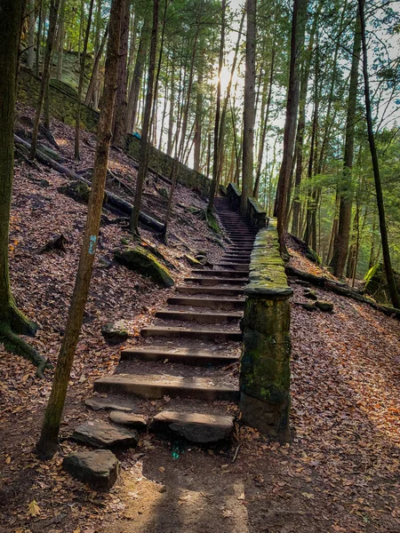 Disparo Vertical Una Vieja Escalera Piedra Bosque — Foto de Stock