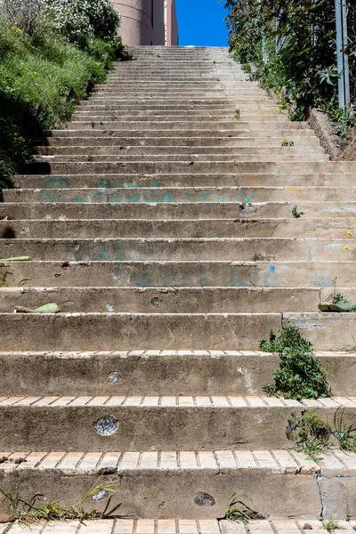 Güneşli Bir Günde Ağaçlar Bitkilerle Çevrili Açık Taş Merdivenlerin Alçak — Stok fotoğraf