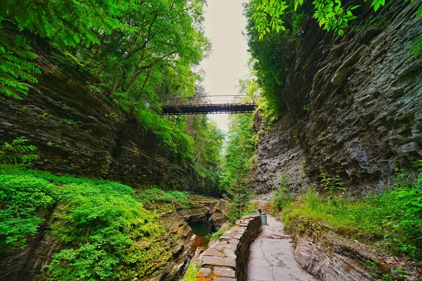 Lélegzetelállító Táj Watkins Glen State Parkban New Yorkban — Stock Fotó