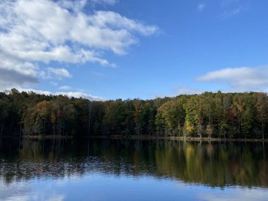 ABD 'nin mavi bulutlu gökyüzü ile Batı Virginia' daki bir su gölüne yansıyan ağaçların güzel manzarası.