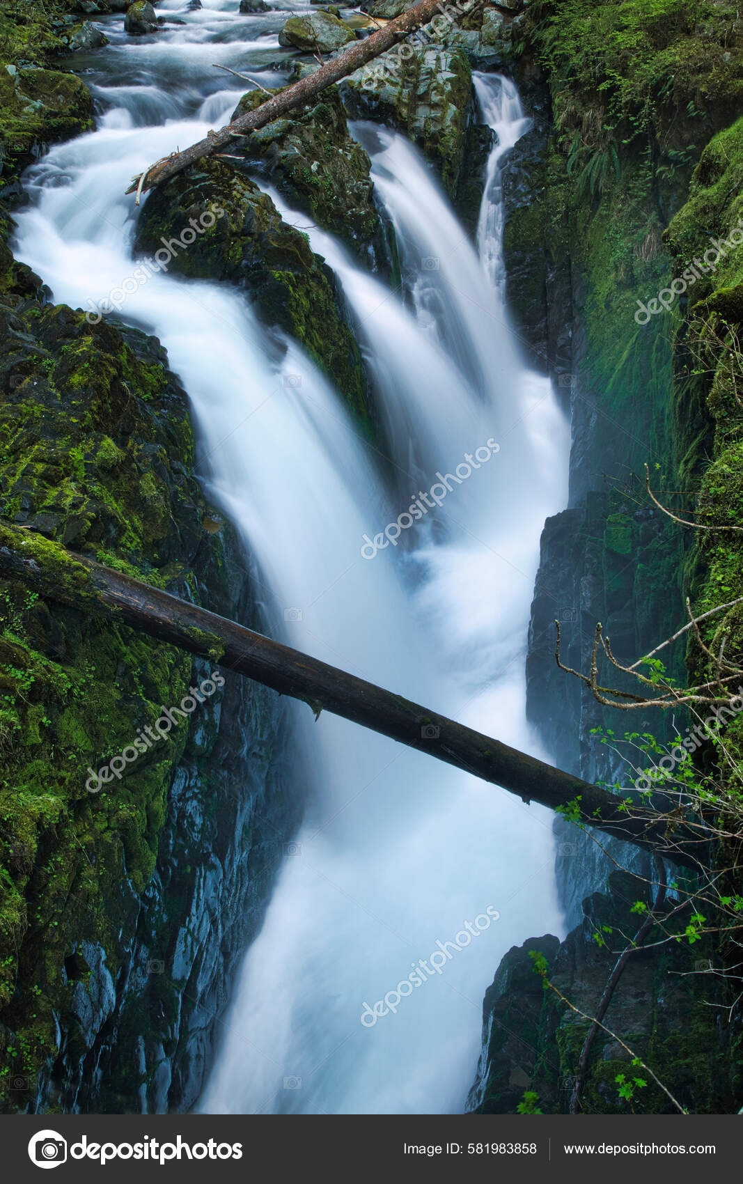 duc river sol duc falls olympic national park