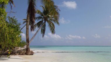 Güneşli bir günde güzel bir deniz manzarası.