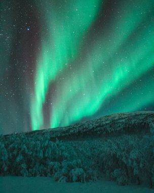 Norveç, Senja 'nın büyüleyici manzarası. Aurora Borealis temalı.