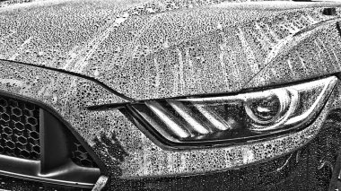 Bir Ford Mustang 'in gri tonlu görüntüsü