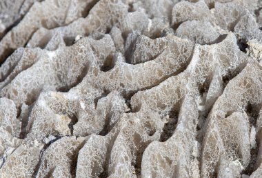 Su tarafından aşınmış bir tuz duvarının yakın plan çekimi.