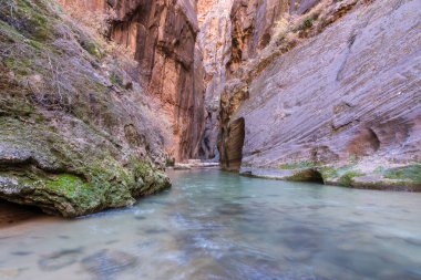 Zion Ulusal Parkı 'nda Utahs Virgin Nehri' nin dikey görüntüsü 
