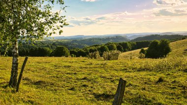 Güzel bir tarla manzarası ve gökyüzünde güneşli bulutlar