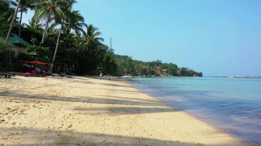 Cennet adasında hindistan cevizi palmiyesi ve denizi olan güzel bir tropikal kumlu sahil.