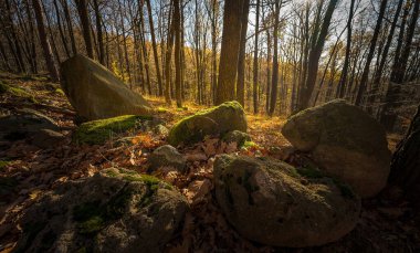 Slovakya 'da çıplak ağaçlarla kayalık dağların doğal manzarası