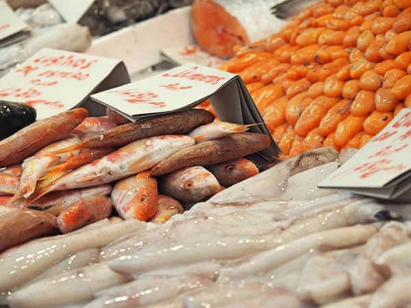 Skaldjur Den Lokala Marknaden Cadiz Spanien — Stockfoto