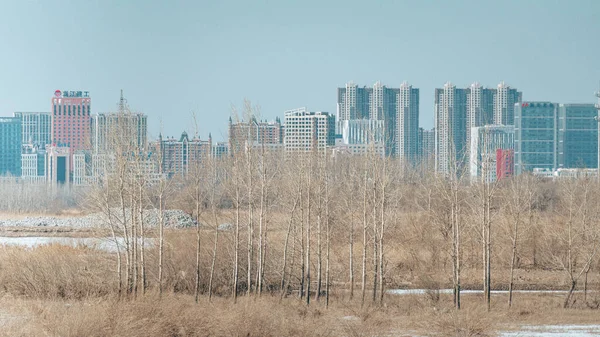 Een Luchtfoto Van Een Winterlandschap Met Stadsgebouwen Harbin China — Stockfoto