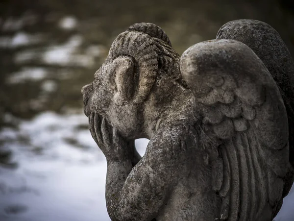 Estatua Gárgola Jardín Parece Estar Pensando Estado Las Cosas —  Fotos de Stock