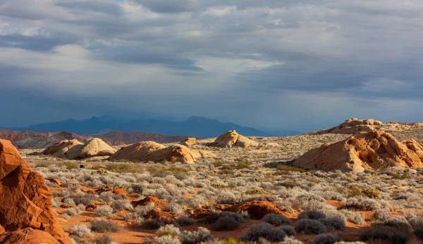 Krajobraz Skalistej Górskiej Pustyni Suchymi Krzakami Dużymi Skałami Pod Ciemnym — Zdjęcie stockowe