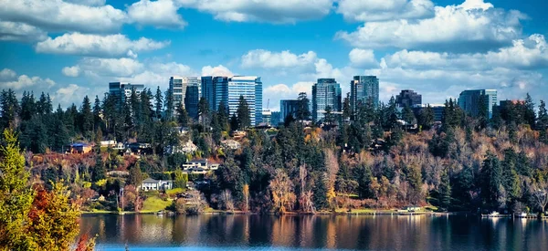 Een Schilderachtig Uitzicht Bellevue Met Wolkenkrabbers Verborgen Achter Bomen Lake — Stockfoto