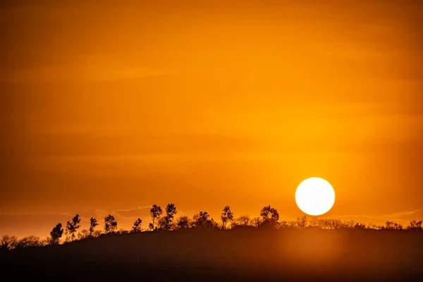 Tepenin Üzerinde Yuvarlak Günbatımının Silüeti Duvar Kağıdı Için Harika — Stok fotoğraf