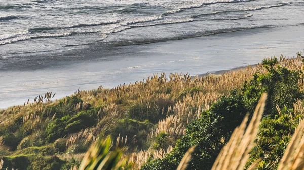 Beautiful Landscape View Plants Cliffs Seascape Ngarunui Beach Raglan New — Stock Photo, Image