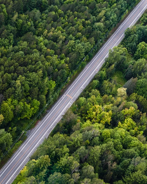 Vzdušný Výhled Dálnici Přes Svěží Zelené Lesy — Stock fotografie