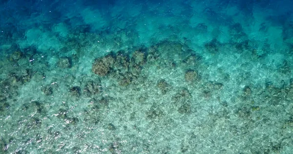 아시아에서 수있는 해수의 — 스톡 사진
