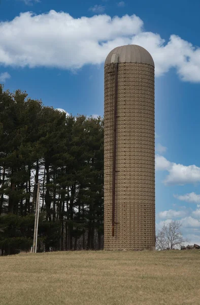 Vertical Tower Silo Grassy Field Countryside — Stock Photo, Image