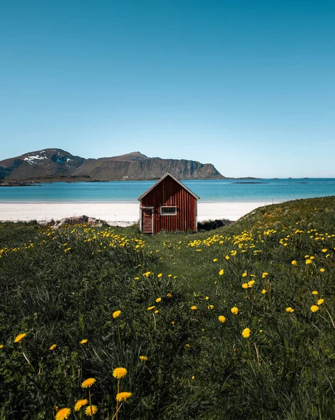 Vertikal Bild Trästuga Strand Nära Arkiverad Med Gula Blommor — Stockfoto