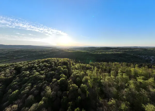 Tepelerdeki Sık Ağaçlardan Parlak Mavi Gökyüzünden Oluşan Bir Hava Manzarası — Stok fotoğraf