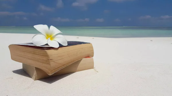 A white flower on books on a tropical beach in Maldives