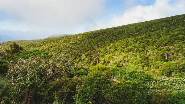 Mavi Bulutlu Gökyüzüne Karşı Yeşil Çimlerle Kaplı Taranaki Dağı Nın — Stok fotoğraf