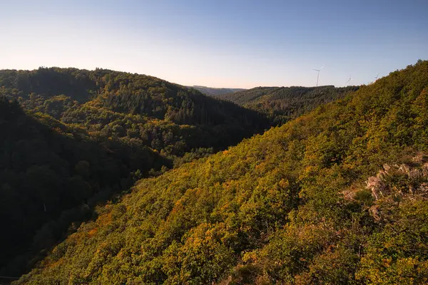 Eine Luftaufnahme Eines Schönen Waldes Der Nähe Der Berge — Stockfoto