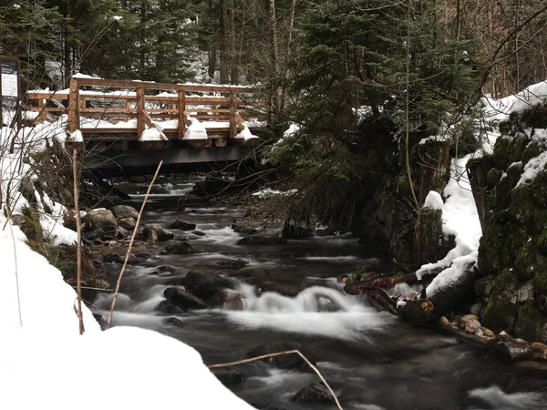 水の速い山の川は小さな橋を通って流れ 海岸には岩や雪があります — ストック写真