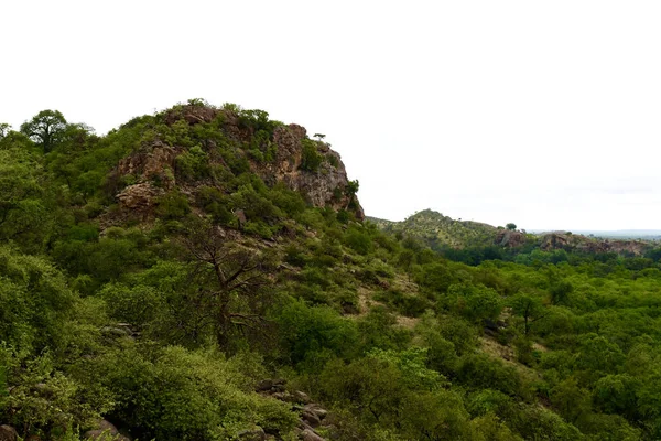 Paysage Colline Couverte Verdure Après Pluie — Photo