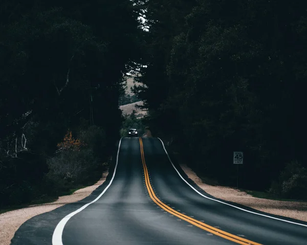 Beautiful Shot Road Going Forest — Stock Photo, Image