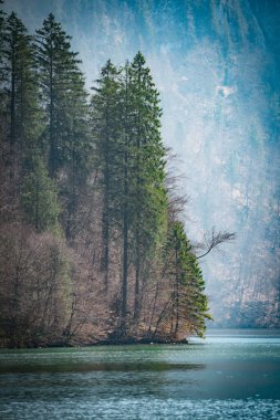 Almanya 'daki ağaçların yakınındaki mavi Konigssee Gölü' nün dikey görüntüsü.